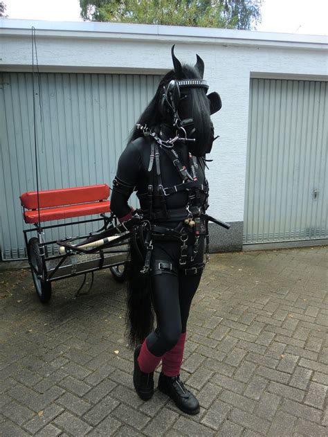 ponygirls bdsm|Lesbian Ponygirls bdsm Sluts Petplay Ponyplay Pony Girls.